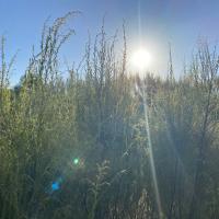 Jeremy O`Carroll's avatar