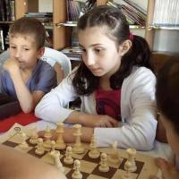 Avatar of Taqwa Hamouri