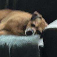 Avatar of Kyle Chang