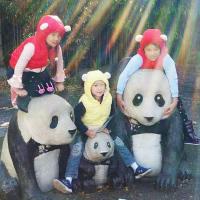 Elaina Qiang's avatar