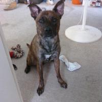 Avatar of kika chris