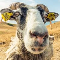 Avatar of John Arni Nilssen