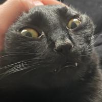 Avatar of tim matoba