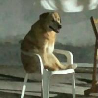 Avatar of tincho cuenca