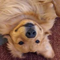 Avatar of Andrew Titus