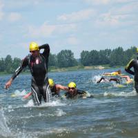 Avatar of Daniel Spaniel