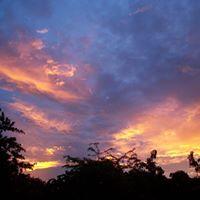 Tania Miranda Rodriguez's avatar