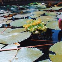 Todd Freitag's avatar