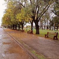 Avatar of Hector Leon