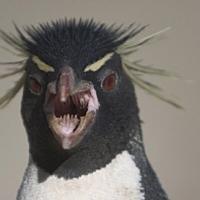 Avatar of Anatoly Moskvin