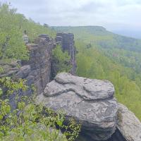 Avatar of Tomasz Ori