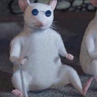 Avatar of rato22cego