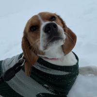 Avatar of fernando almeida monteiro