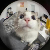 Avatar of TrashyDude