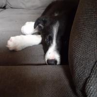 Avatar of Travis1032