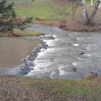 Avatar of TreasureKEM