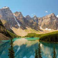 Avatar of Trickywoo2