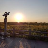 Avatar of Trilofonese