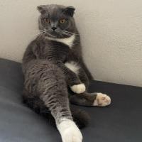 Avatar of tuantuvu03291