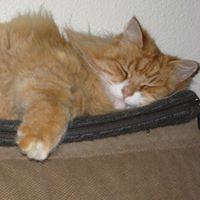 Avatar of Tulinius Jensen