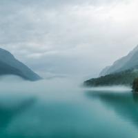 Avatar of Joel Leong