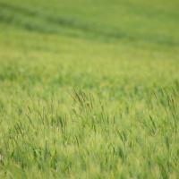 Avatar of Axel Turcas