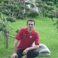 Avatar of arash hemmatjou