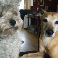 Avatar of Twentekloas Enschede