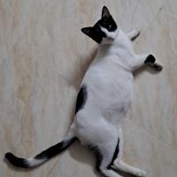 Avatar of UdyGraphie