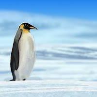 Avatar of Uğur Salın