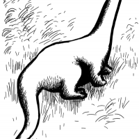 Avatar of Uih7I9kOKokUOhjUJ