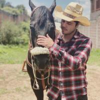 Avatar of Ulises Ibarra