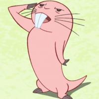 Avatar of Raphael Stähli