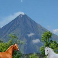 Avatar of Odlanor Odiacar