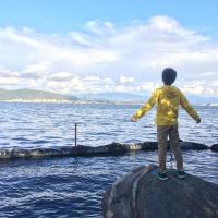 Avatar of Qingfeng Cao