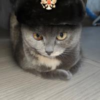 Avatar of Артем
