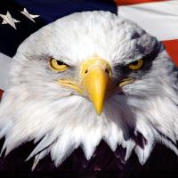 Avatar of Nathaniel Graham