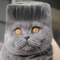 Avatar of usmyvuitton