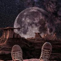 Avatar of Muslim Muslim