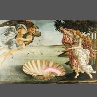 Avatar of Hasan Göncū