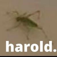 Vasilios Kasioumis's avatar