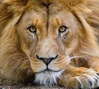 Avatar of Vazgen Sargsyan