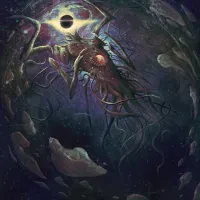 Avatar of YC Michael