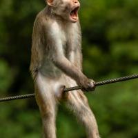 Avatar of Quentin Coignard