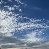 Avatar of Guillaume Vidal