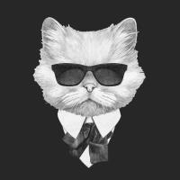 Avatar of Viktorcasper