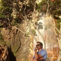 Avatar of Vinicius Albuquerque