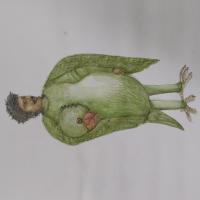 Avatar of Virsingh Kawarchhatri