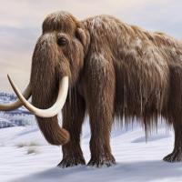 Marco Lantini's avatar