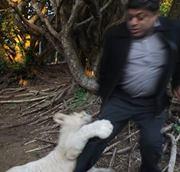 Avatar of Vishal Sareen